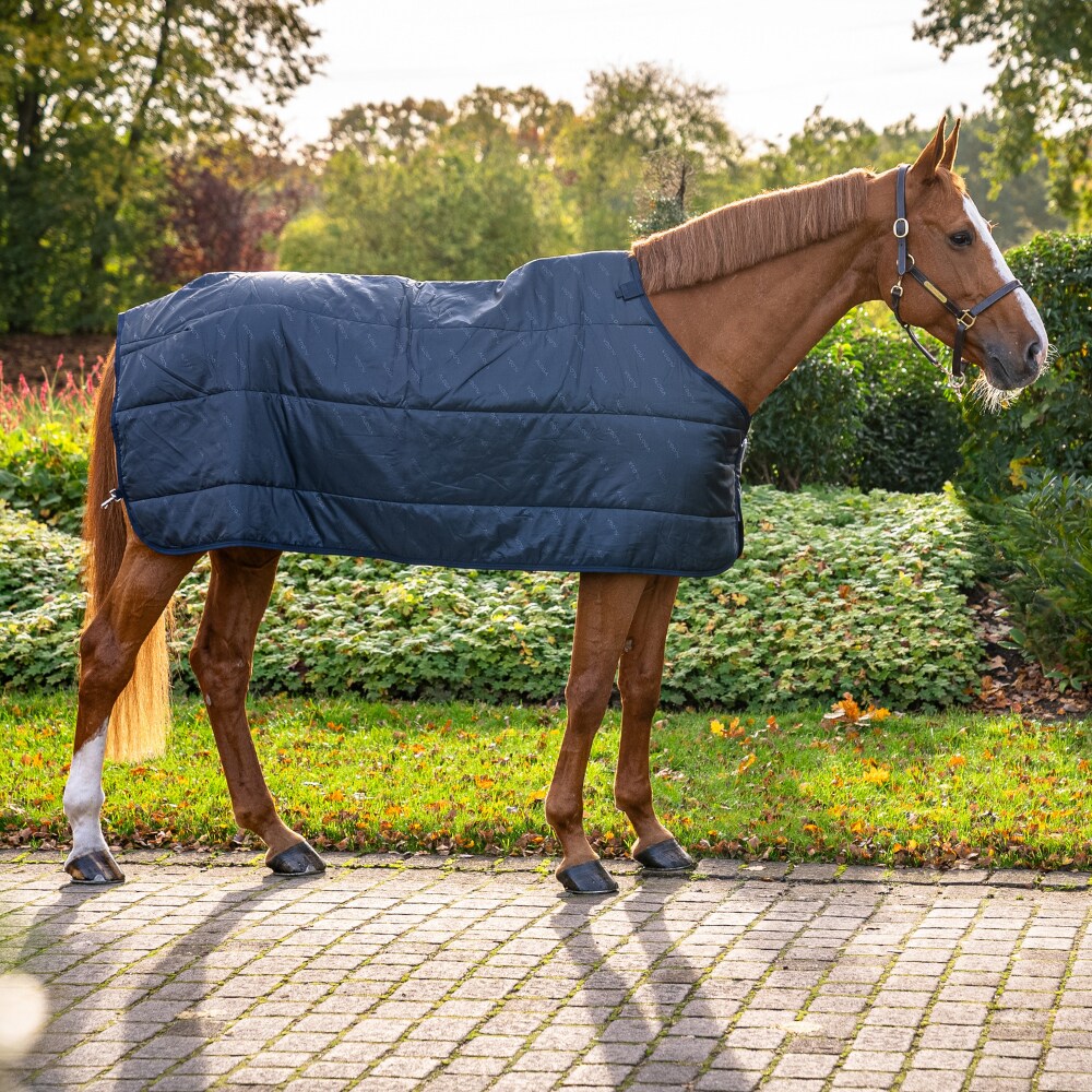 Liner 200   Aloga Equestrian