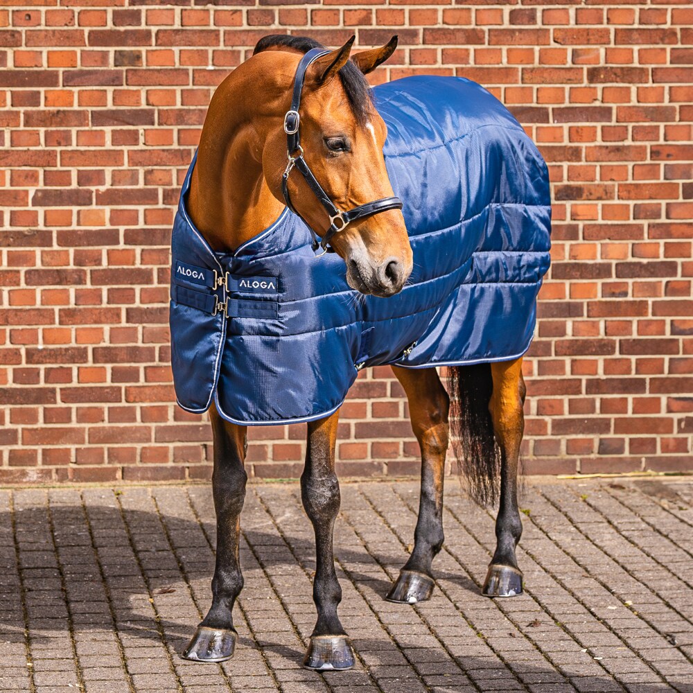 Talliloimi  Stable Blanket 150g Aloga Equestrian