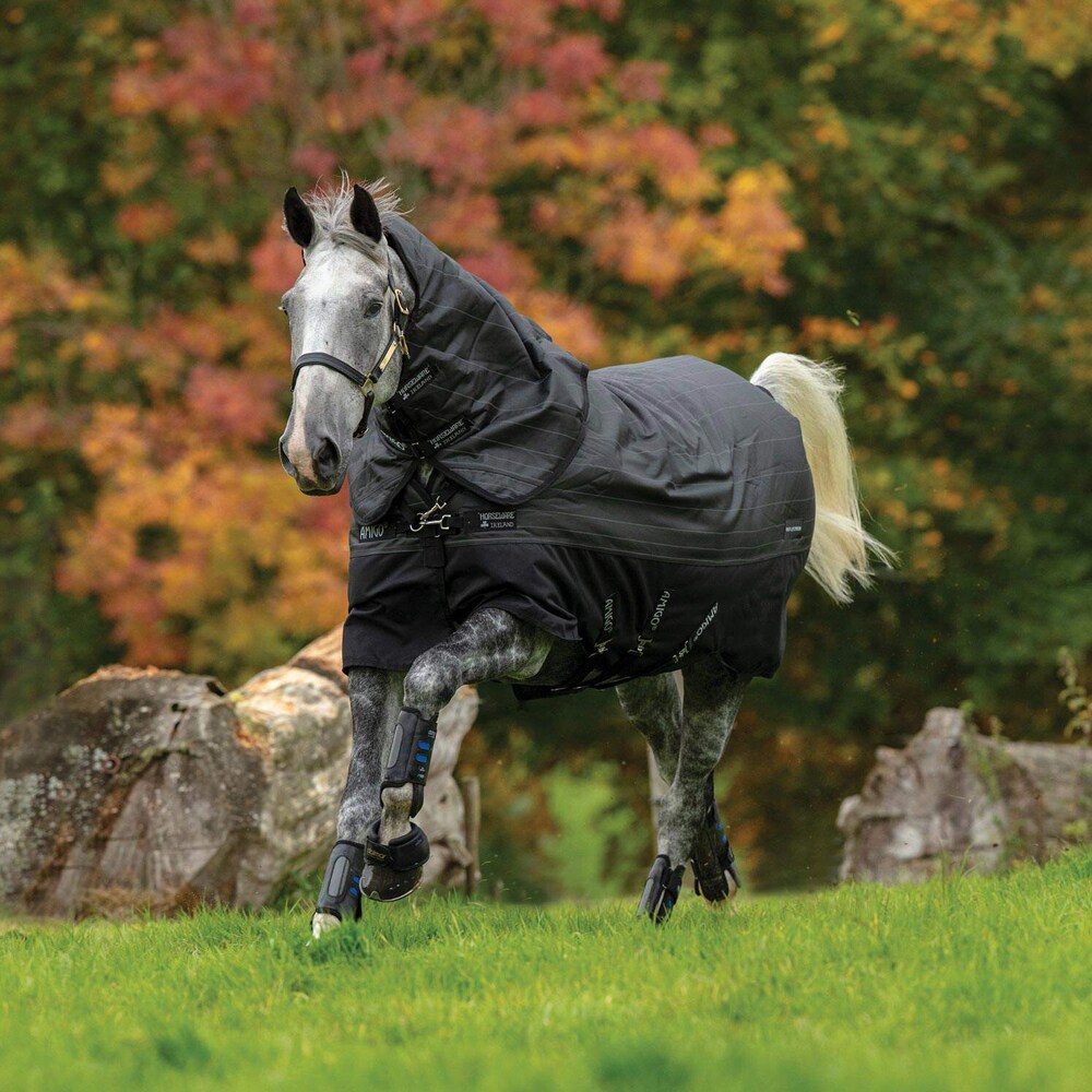 Talviloimi 250 g Amigo Bravo 12 Reflectech Plus Turnout Horseware®